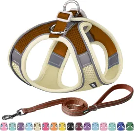 AIITLE Comfortable Dog Harness and Leash Set for Walking - Spring Step in Vest Harness,Reflective Bands, Adjustable No Pull Puppy Essentials, for Small Dogs and House Cats Beige XS