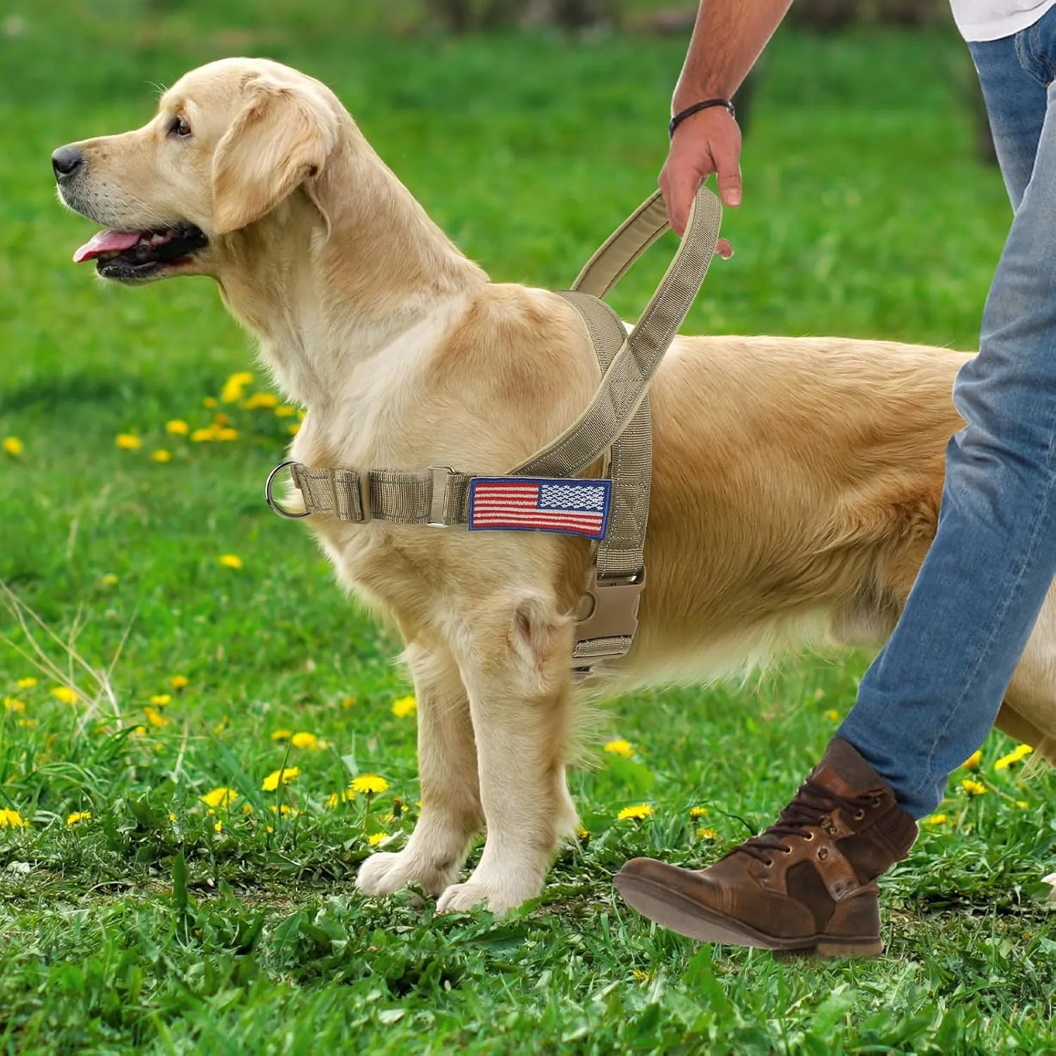 BINGPET No Pull Dog Harness with Two Patches and Soft Handle,Reflective Adjustable Easy Walk Dog Harness for Small Medium Large Dogs,Quick Fit & Escape Proof for Outdoor Walking Training(Yellow,L)