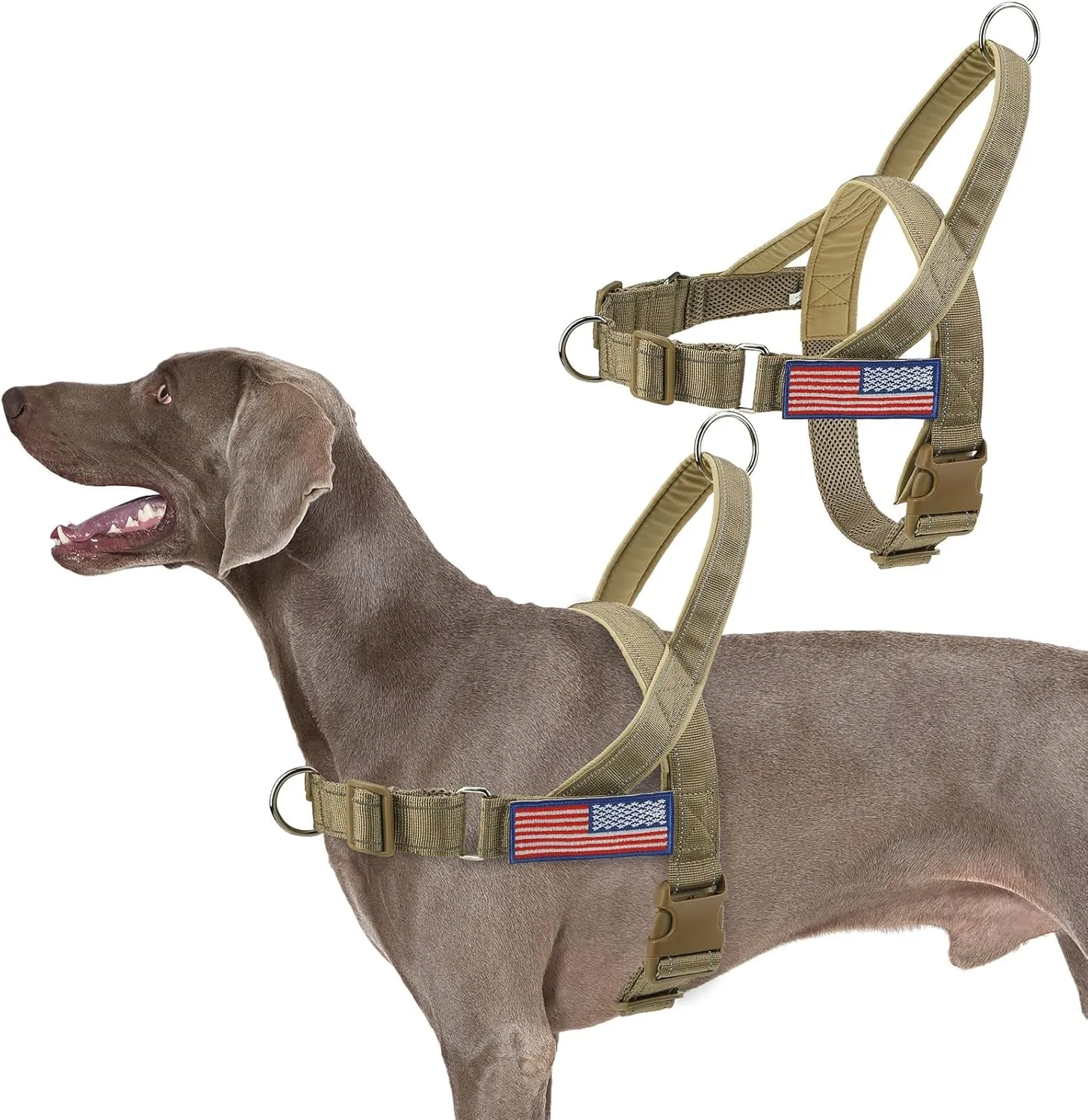 BINGPET No Pull Dog Harness with Two Patches and Soft Handle,Reflective Adjustable Easy Walk Dog Harness for Small Medium Large Dogs,Quick Fit & Escape Proof for Outdoor Walking Training(Yellow,L)