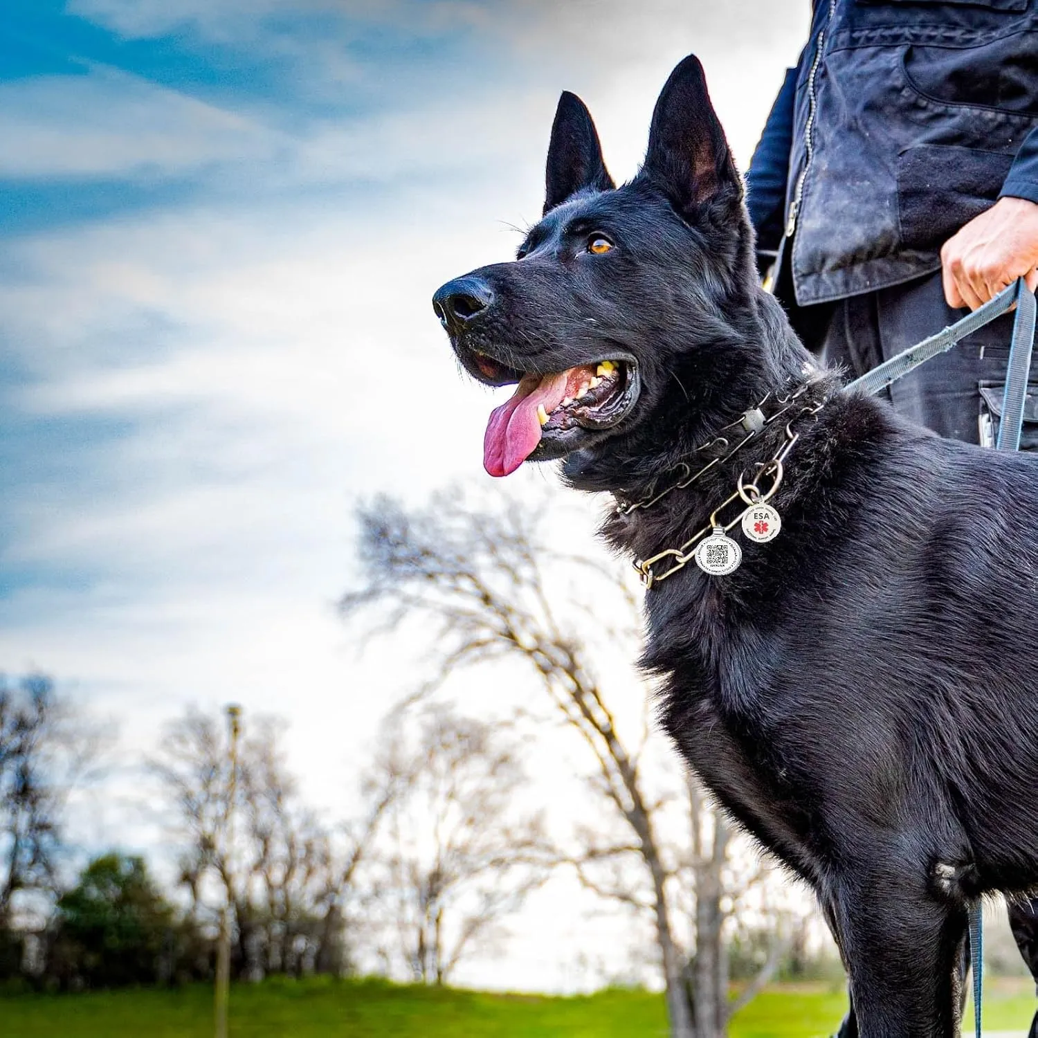 Dog Tag Personalized QR Code and Service Dog Tag, Modifiable Pet Online Profile, Multiple Emergency Contact, Scan QR Code Send Pet GPS Location Email
