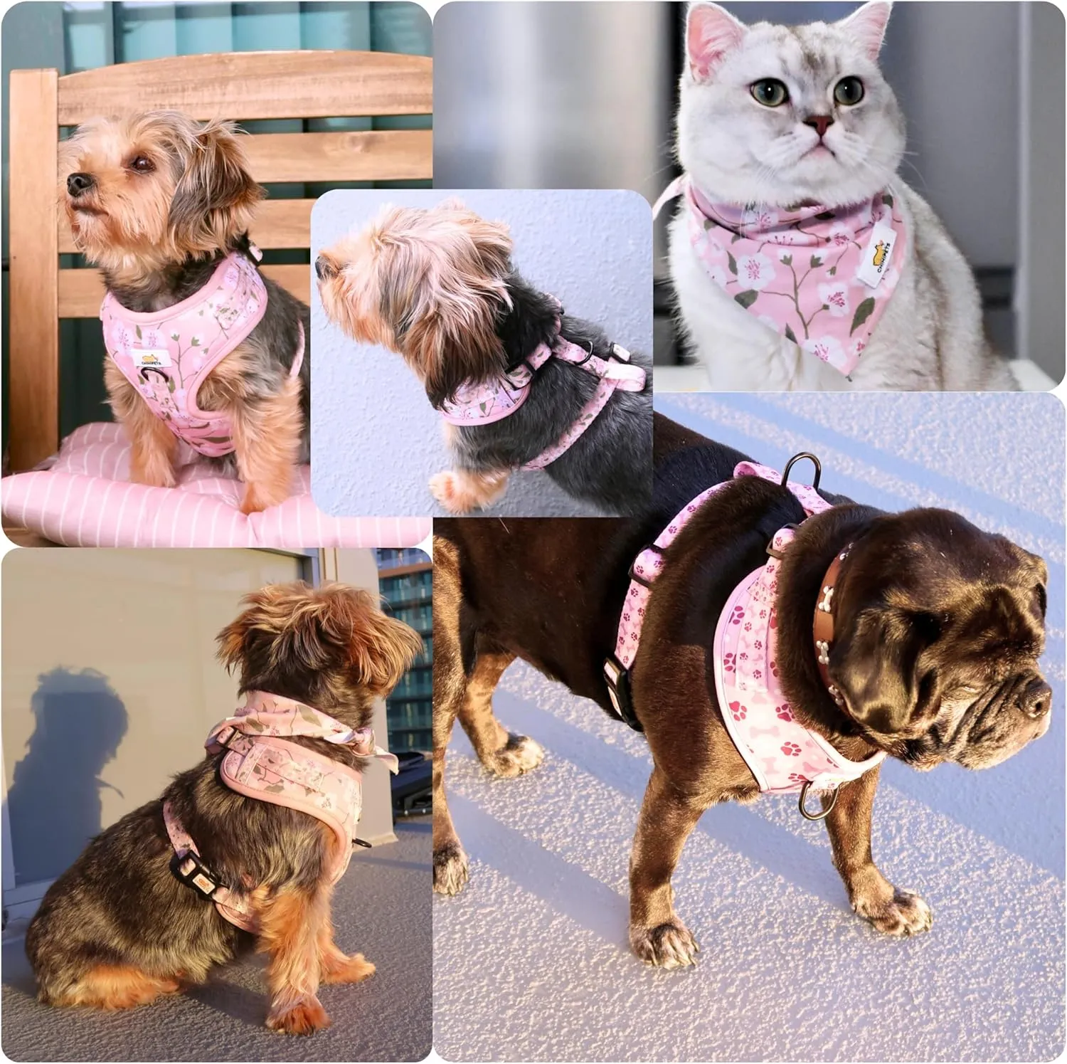 Easy-Walk Dog Harness and Leash, Small Easy-Walk Dog Harness, Puppy Starter Kit, No-Escape Harness & Leash Set Training | Frenchie, Yorkie, Chihuahua, Dachshund Dog or Puppy Vest w/Poop Bag Holder