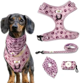 Easy-Walk Dog Harness and Leash, Small Easy-Walk Dog Harness, Puppy Starter Kit, No-Escape Harness & Leash Set Training | Frenchie, Yorkie, Chihuahua, Dachshund Dog or Puppy Vest w/Poop Bag Holder