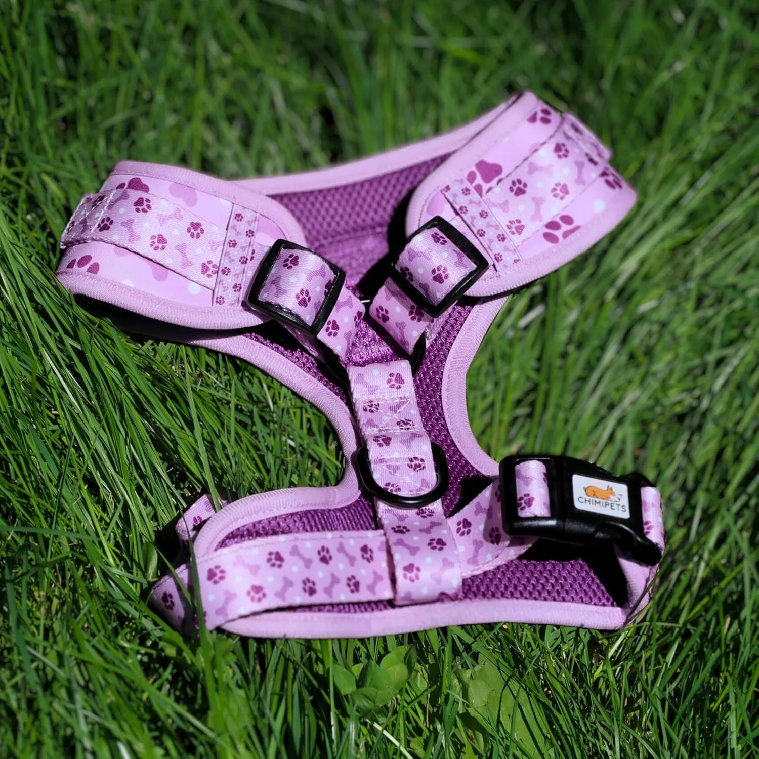 Easy-Walk Dog Harness and Leash, Small Easy-Walk Dog Harness, Puppy Starter Kit, No-Escape Harness & Leash Set Training | Frenchie, Yorkie, Chihuahua, Dachshund Dog or Puppy Vest w/Poop Bag Holder