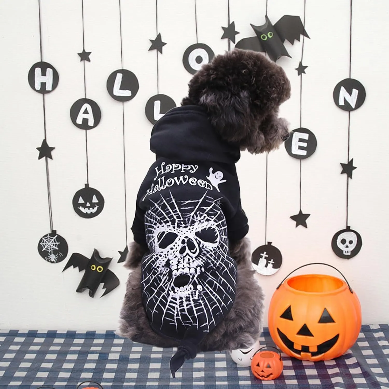 Halloween Dog & Cat Hoodies - Black Spider Fleece Sweatshirt - X-Small