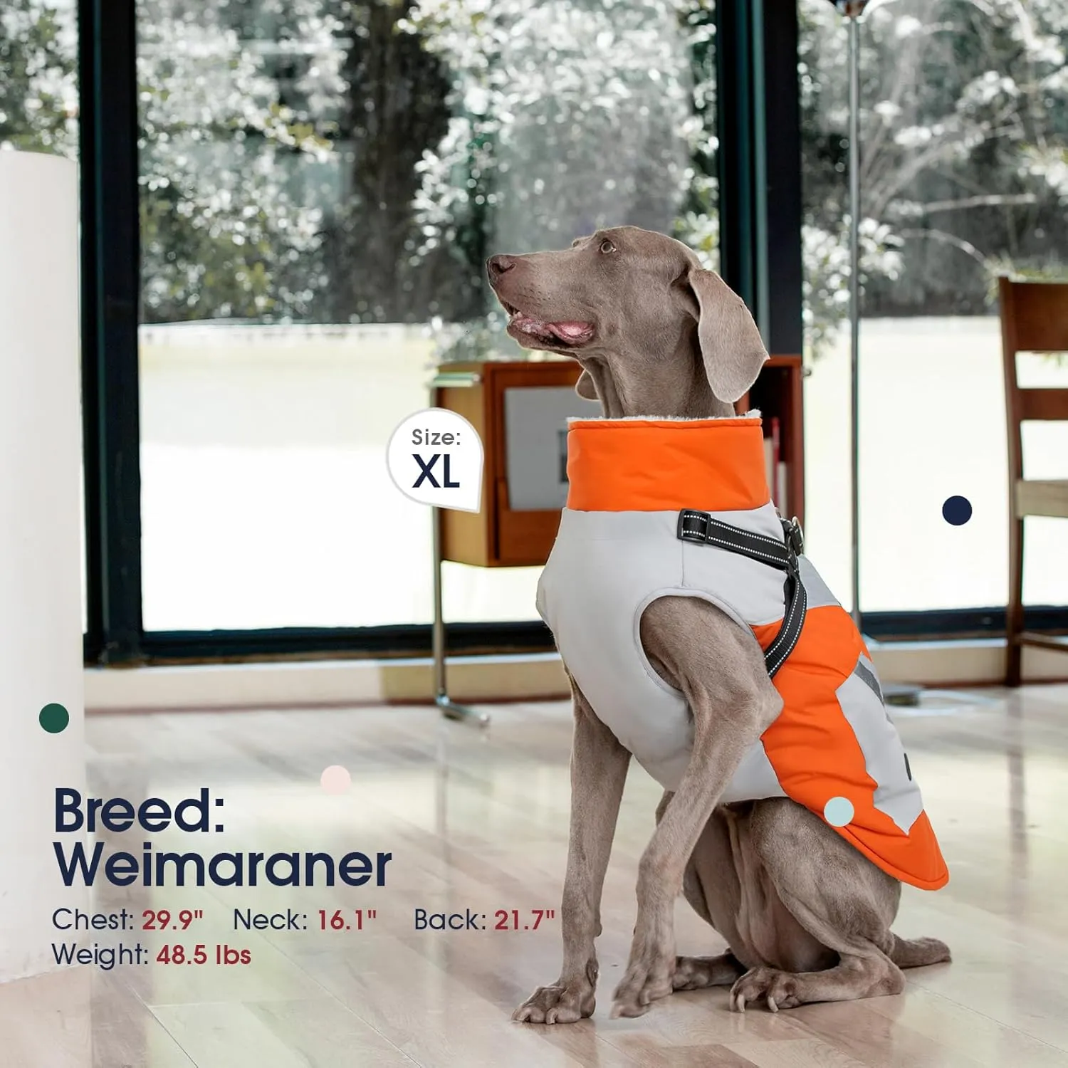 IECOii Warm Small Dog Coat Harness with D Ring -Orange,Small- Zip Small Dog Jacket Winter Reflective, Fleece Lined Dog Snowsuit Snow Jacket,Pet Clothes for Small Dogs Yorkshire Terrier Bichon Shih Tzu