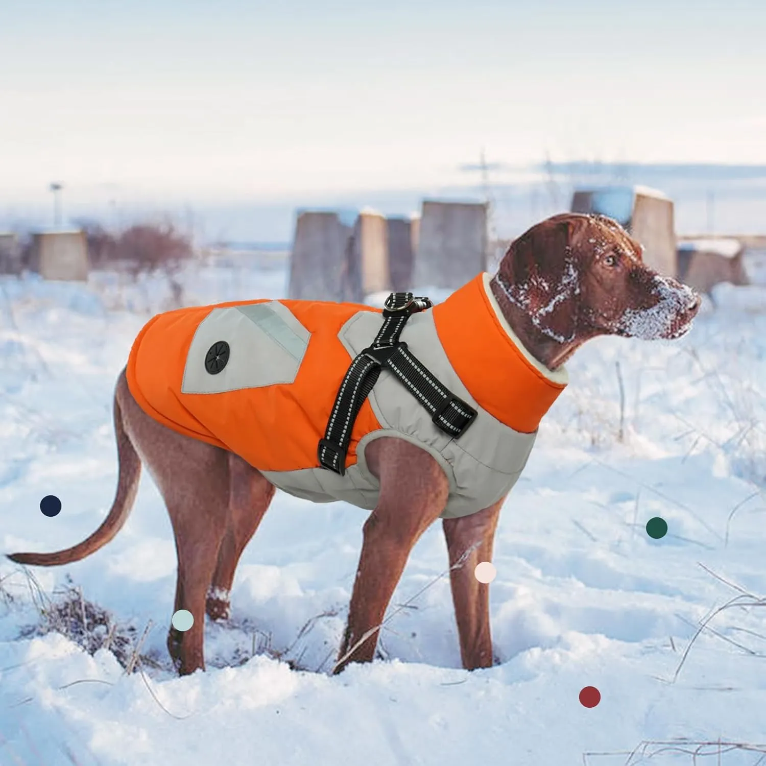 IECOii Warm Small Dog Coat Harness with D Ring -Orange,Small- Zip Small Dog Jacket Winter Reflective, Fleece Lined Dog Snowsuit Snow Jacket,Pet Clothes for Small Dogs Yorkshire Terrier Bichon Shih Tzu