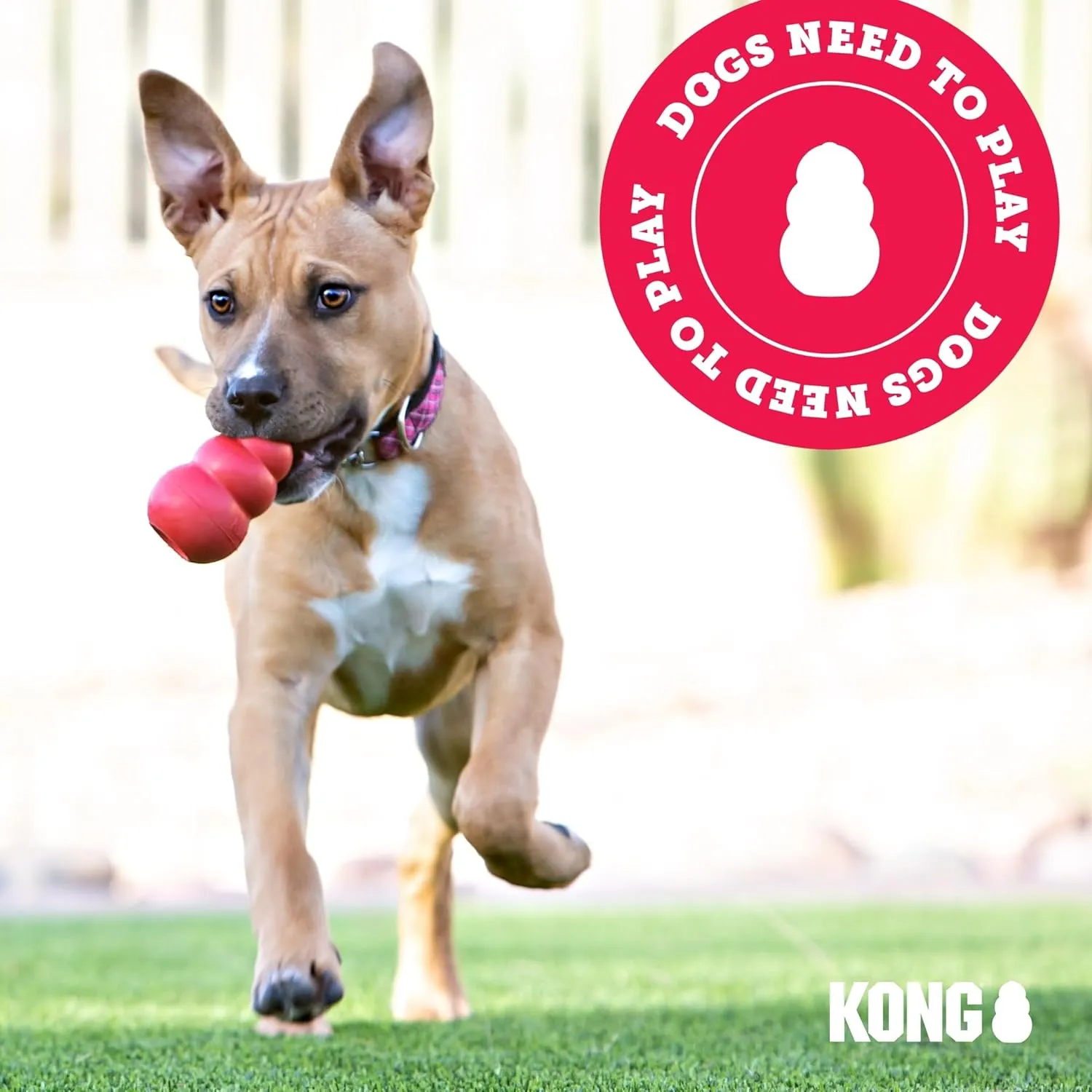 KONG - Puppy Toy Natural Teething Rubber - Fun to Chew, Chase and Fetch - for Small Puppies - Pink