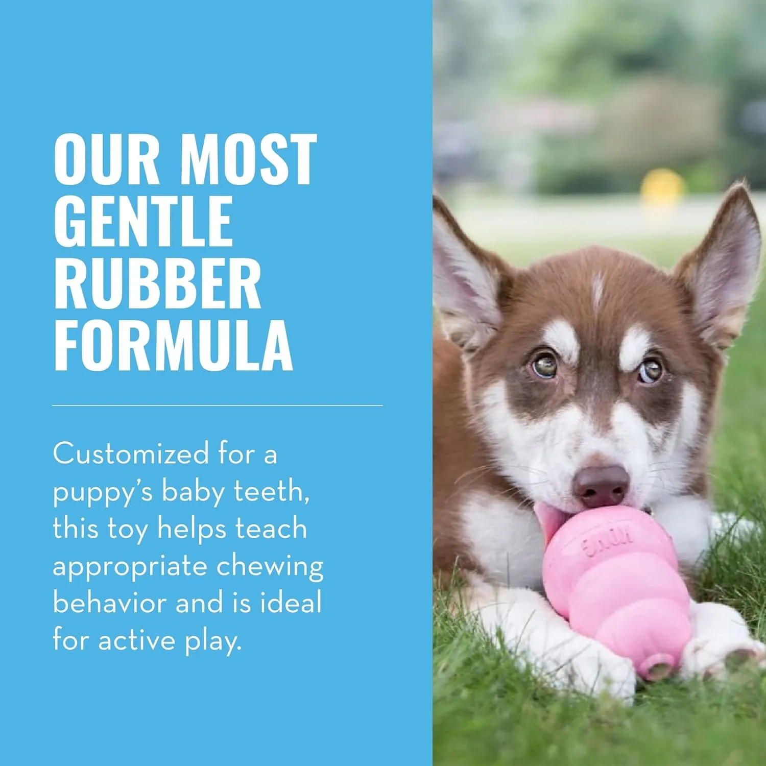 KONG - Puppy Toy Natural Teething Rubber - Fun to Chew, Chase and Fetch - for Small Puppies - Pink