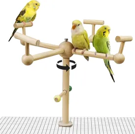 Multi-Perch Spinning Parakeet Toys, Bird Stand Perch Toy, Interactive Wooden Wheel Parrot Toys, Enrichment Cockatiel Toy for Bird Cage, Conure Cage Accessories Perch Toy for Multi Birds