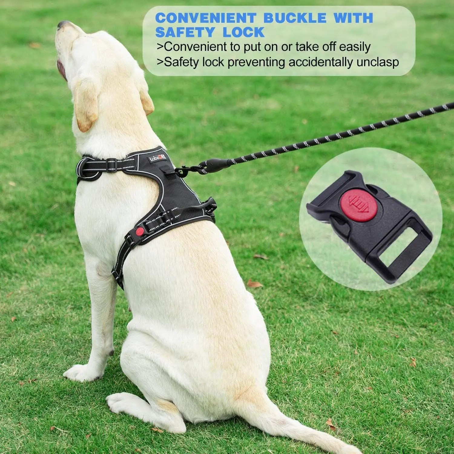 No Pull Dog Harness Adjustable Reflective Oxford Easy Control Medium Large Dog Harness with A Free Heavy Duty 5ft Dog Leash (S (Neck: 13"-18", Chest: 17.5"-22"), Blue Harness Leash)