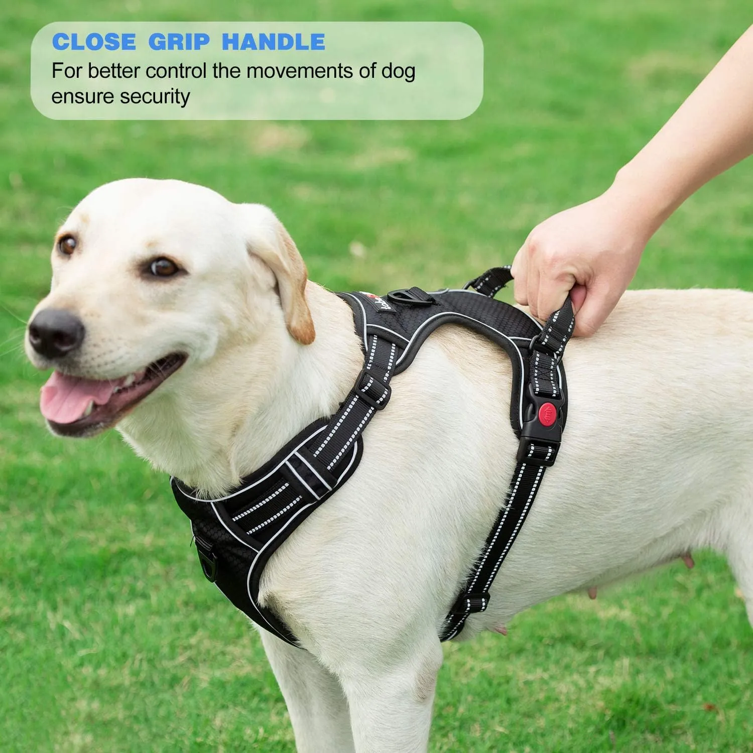 No Pull Dog Harness Adjustable Reflective Oxford Easy Control Medium Large Dog Harness with A Free Heavy Duty 5ft Dog Leash (S (Neck: 13"-18", Chest: 17.5"-22"), Blue Harness Leash)