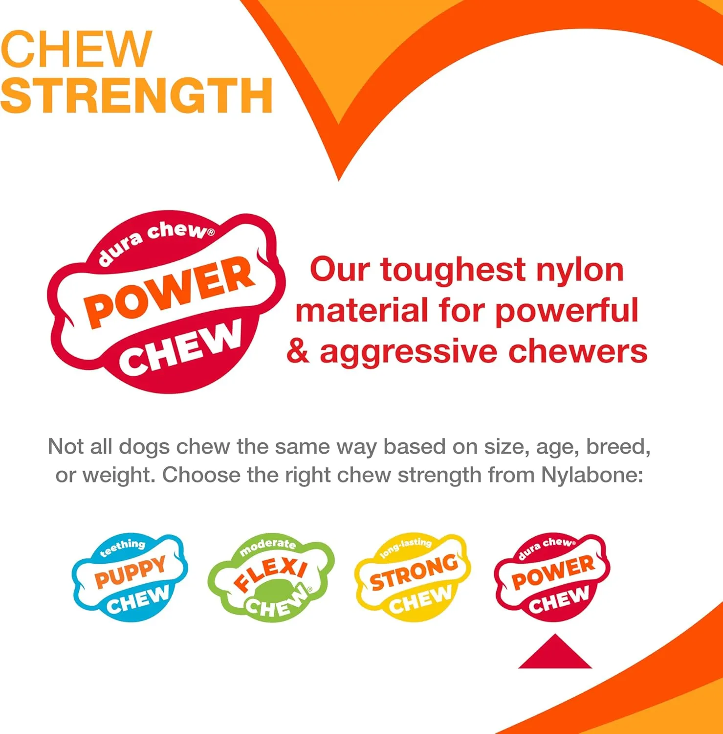 Nylabone Cheese Bone Power Chew Toy for Dogs, Cute Dog Toys for Aggressive Chewers, Cheese Flavor, X-Large Dogs - 50  lbs, 1 Count