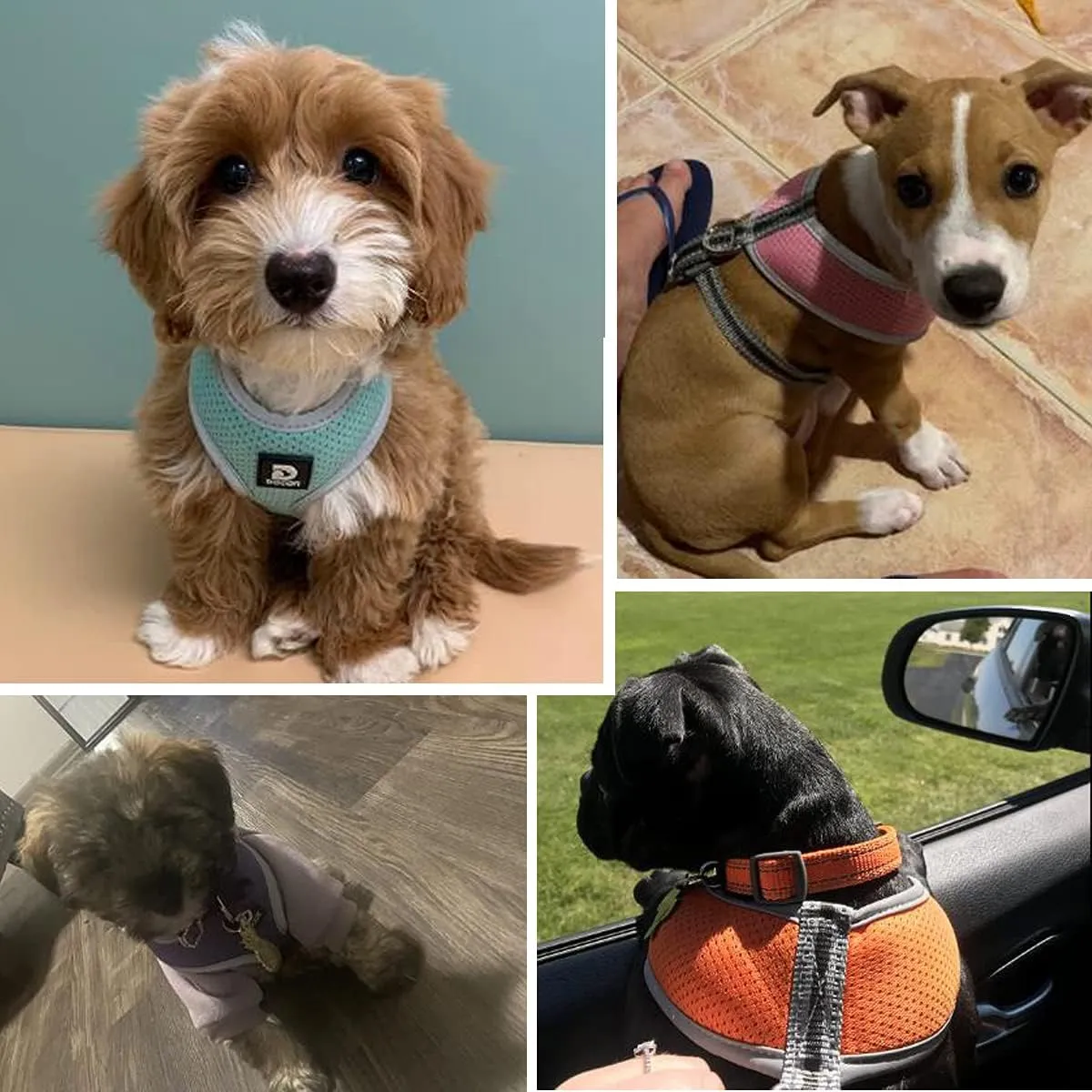 Puppy Harness and Leash Set - Dog Vest Harness for Small Dogs Medium Dogs- Adjustable Reflective Step in Harness for Dogs - Soft Mesh Comfort Fit No Pull No Choke (M, Pink)