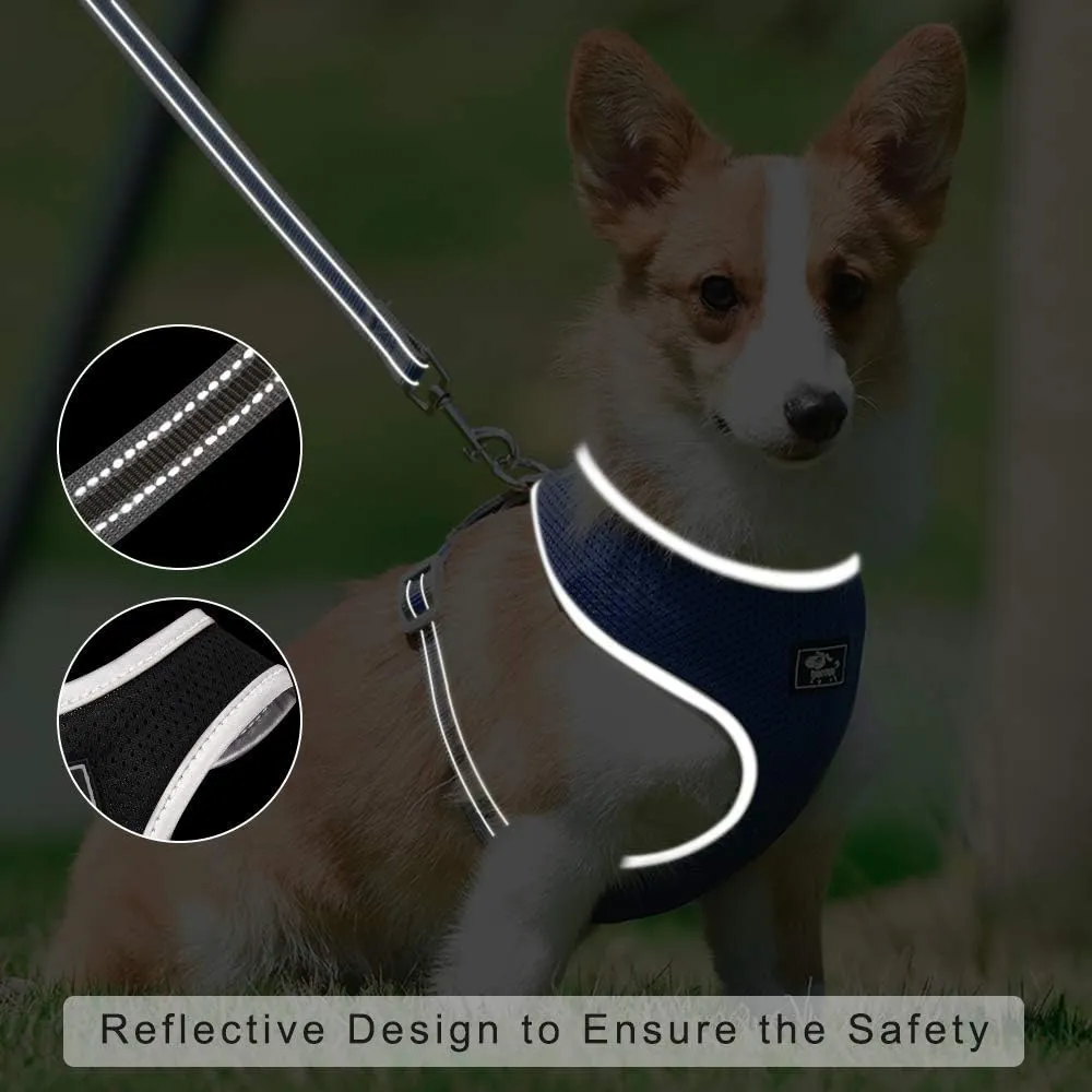 Puppy Harness and Leash Set - Dog Vest Harness for Small Dogs Medium Dogs- Adjustable Reflective Step in Harness for Dogs - Soft Mesh Comfort Fit No Pull No Choke (M, Pink)