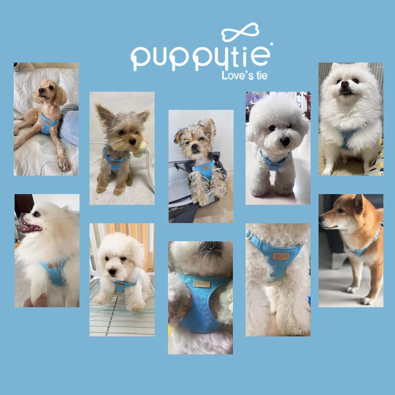 Puppytie Ultra-Light No-Pull XXS Dog Harness  Escape-Proof Adjustable Vest for Small Breeds (2.2-6lbs)