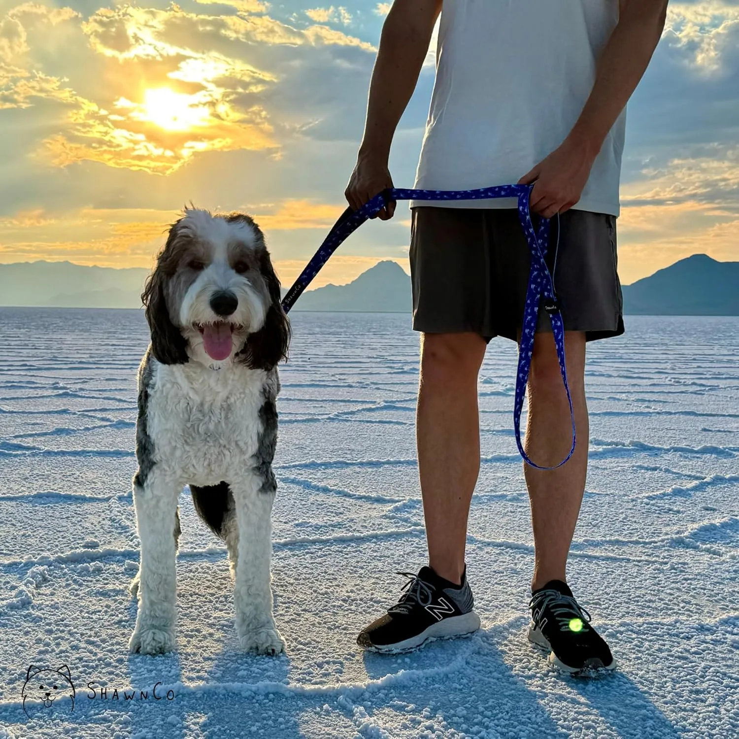 ShawnCo Dream Walk Dog Leash- Premium, Nylon Pet Leash with Soft Neoprene Handle for Small, Medium and Large Dogs (Sunset Orange, M/L 6FT w/ 2 Handles)