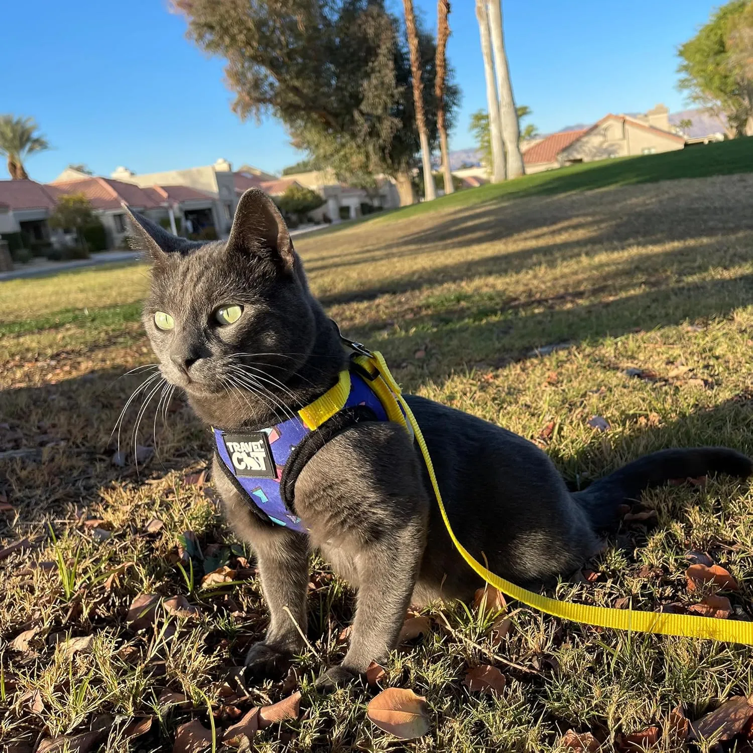 Travel Cat Harness and Leash Set - Adjustable Fit Harness and Reflective Strap - Comfort Walking Vest for Kitten for Outdoor Walking, Hiking (Medium, 90s Cat)